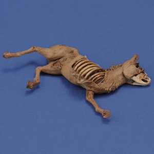 画像3: RoyalModel[RM1068]1/35 ジオラマアクセサリー ロバの亡骸 (3)