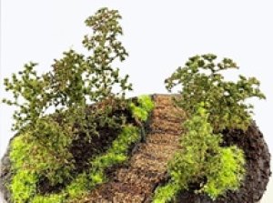 画像2: セガワモデリング[DO-1007]　樹木の散歩道キット (2)