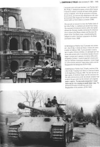 画像4: [TMS-03] タンクマスタースペシャル No.3 イタリア1943-1945 ドイツ軍編 (4)