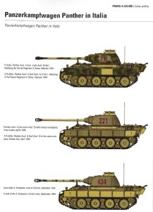 画像3: [TMS-03] タンクマスタースペシャル No.3 イタリア1943-1945 ドイツ軍編 (3)