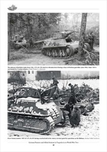 画像3: Tankograd[Panzer_In Yugoslavia]WWII時のユーゴスラビアにおけるドイツ軍戦車と連合軍車両 (3)