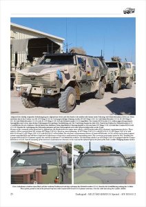 画像2: Tankograd[MFZ-S 5037]ATF DINGO 2 (2)