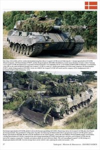 画像5: Tankograd[TG-MM 7006]DANSKE HAEREN (5)