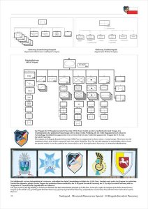 画像2: Tankograd[TG-MM 7025]現用ポーランド軍  第10装甲騎兵旅団の戦闘車両 (2)