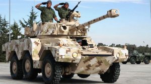 画像6: タイガーモデル[TM-4632]1/35 現用仏 パナール ERC-90 F1 リンクス (6)