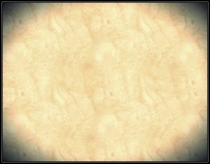 画像7: ウッシ[USC1005]細かい木目のベニヤ（４パターン） (7)