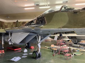 画像2: WWP [B034]現用 露/ソ MiG-29フルクラムA ディテール写真集パート1 最後のワルシャワ条約機構下戦闘機の全貌 (2)