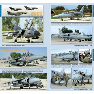 画像5: WWP[B035]最後のフィッター基地 ナームニェシュチ・ナト・オスラヴォウ基地のチェコ空軍第32戦術空軍基地1994-2003 ディテール写真集 (5)