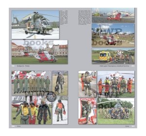 画像10: WWP [Y004]現用 PZL W-3Aソクウ写真集 (10)