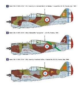 画像2: Wolfpack Design[WOLWP14815]1/48 カーチス ホーク H75-C1 「フランス空軍」(プレミアムエディションキット) (2)
