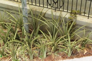 画像3: 紙創り[Ａ-39]ジオラマベースキット　フェンス (3)