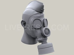 画像3: Live Resin[LRE35270]1/35  PMG-2ガスマスク着用ヘッド(2)(6個) (3)