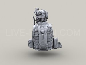 画像6: Live Resin[LRM35003]1/35  現用米陸軍歩兵(3)HK416装備 (6)