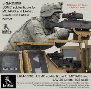 画像7: Live Resin[LRM35008]1/35  現用米海兵隊歩兵(3)MCTAGS銃塔用PASGTヘルメット (7)