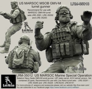 画像1: Live Resin[LRM35013]1/35  現用米特殊部隊(4)ネイビーシールズ(無帽) (1)