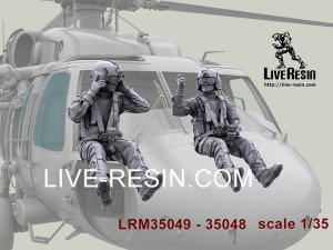 画像5: Live Resin[LRM35049]1/35 HH-60G Pave Hawk helicopter crew set - Pilot 4 equip by AIR WARRIOR SYSTEM (PSGC), HGU56/P helmet (5)