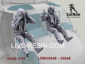 画像6: Live Resin[LRM35049]1/35 HH-60G Pave Hawk helicopter crew set - Pilot 4 equip by AIR WARRIOR SYSTEM (PSGC), HGU56/P helmet (6)
