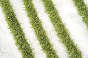 画像1: ミニネイチャー[718-23]道沿いの芝草‐秋の訪れ (1)