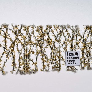画像1: ミニネイチャー[997-24]スズメのかくれんぼ 凍る大地に (1)
