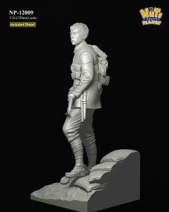 画像8: ナッツプラネット[NP-12009]1/16(120mm) WWI イギリス陸軍歩兵“ラストマン・スタンディング” 全身像 (8)