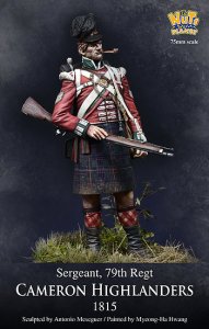 画像2: ナッツプラネット[NP-75002]1/24 近代 英 イギリス陸軍キャメロンハイランダーズ連隊 軍曹~1815年~ (2)