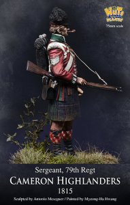 画像3: ナッツプラネット[NP-75002]1/24 近代 英 イギリス陸軍キャメロンハイランダーズ連隊 軍曹~1815年~ (3)