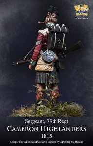 画像5: ナッツプラネット[NP-75002]1/24 近代 英 イギリス陸軍キャメロンハイランダーズ連隊 軍曹~1815年~ (5)