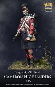画像7: ナッツプラネット[NP-75002]1/24 近代 英 イギリス陸軍キャメロンハイランダーズ連隊 軍曹~1815年~ (7)