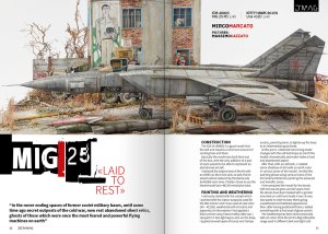 画像7: [DIO_012E]ディオラマグ VOL.12 国会議事堂への競争 (7)