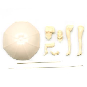 画像3: SOL MODEL[C318]1/20 MASCOT GIRL 2 (3)