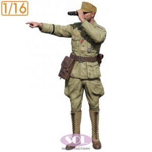 画像1: SOL MODEL[MM1055]1/16 WWII ドイツ Sd.Kfz.250/3軽装甲無線車 指揮官(ダスヴェルク用) (1)