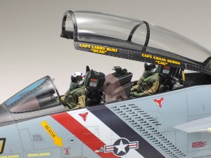 画像8: タミヤ[TAM61118] 1/48 グラマン F-14D トムキャット (8)