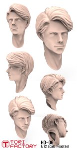 画像15: トリファクトリー[HD-06]1/12 ヘッドシリーズ1「旅人」コンバージョンキット (15)