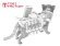 画像11: トリファクトリー[MF-44B]1/24 現用 タクティカル・キャット 戦術猫 (11)