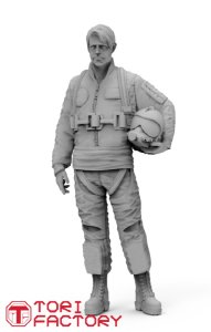 画像6: トリファクトリー[MF-24C]1/72 現用 イラン空軍パイロットセット (6)