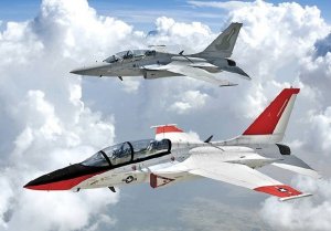 画像8: トリファクトリー[TF-B29B]1/72 現用 韓国 アメリカ海軍TF-50N コンバージョン/デカールセット(アカデミーT-50用) (8)